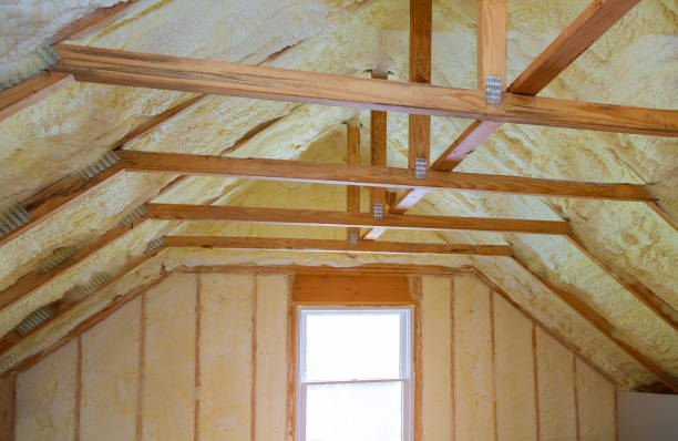 Best Cellulose Insulation in Atoka, NM